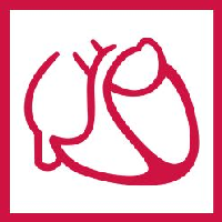 Logo: Deutsche Gesellschaft für Kardiologie - Herz- und Kreislaufforschung e.V.