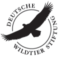 Logo: Deutsche Wildtier Stiftung