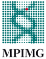 Logo: Max-Planck-Institut für molekulare Genetik