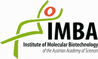 Logo: IMBA - Institut für Molekulare Biotechnologie der Österreichischen Akademie der Wissenschaften GmbH