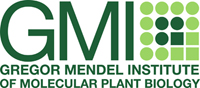 Logo: Gregor Mendel Institut für Molekulare Pflanzenbiologie (GMI)