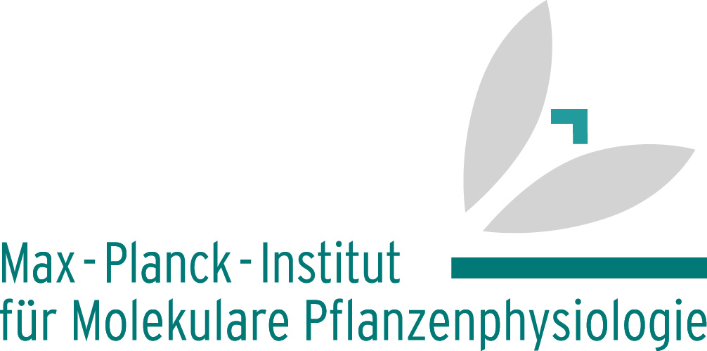 Logo: Max-Planck-Institut für Molekulare Pflanzenphysiologie