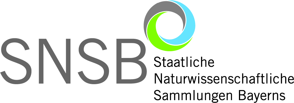 Logo: Staatliche Naturwissenschaftliche Sammlungen Bayerns