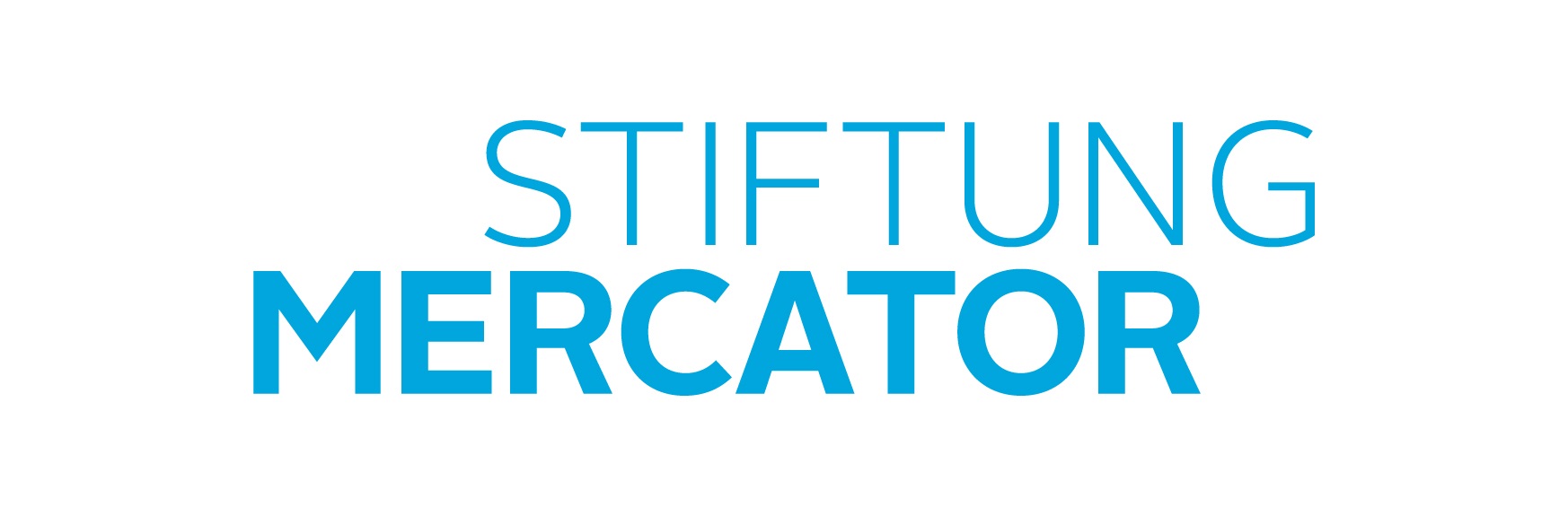 Logo: Stiftung Mercator